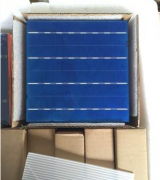 多晶电池片回收 多晶太阳能电池片回收 156多晶电